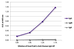 IgG Goat F(ab')2 anti-Human, AP, Polyclonal, Southern Biotech Alkaline