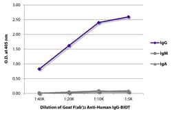 Southern Biotechnology Associates&nbsp;IgG Goat F(ab')2 anti-Human, Biotin, Polyclonal, Southern Biotech&trade;