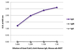 Southern Biotechnology Associates&nbsp;IgG Goat F(ab')2 anti-Human, Mouse ads, Biotin, Polyclonal, Southern Biotech&trade;