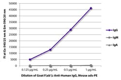 Southern Biotechnology Associates&nbsp;IgG Goat F(ab')2 anti-Human, Mouse ads, R-PE, Polyclonal, Southern Biotech&trade;