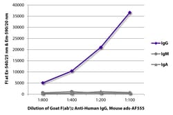IgG Goat F(ab')2 anti-Human, Mouse ads, AF 555, Polyclonal, Southern Biotech&trade;