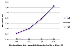 Southern Biotechnology Associates&nbsp;IgG Goat anti-Human, Mouse/Bovine/Horse SP ads, AP, Polyclonal, Southern Biotech&trade;