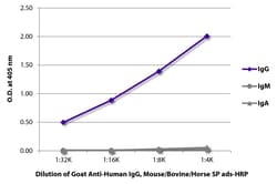 Southern Biotechnology Associates&nbsp;IgG Goat anti-Human, Mouse/Bovine/Horse SP ads, HRP, Polyclonal, Southern Biotech&trade;