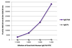 Southern Biotechnology Associates&nbsp;IgG Fd Goat anti-Human, FITC, Polyclonal, Southern Biotech&trade;