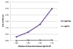 IgG Fd Goat anti-Human, AP, Polyclonal, Southern Biotech&trade;