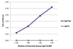Southern Biotechnology Associates IgG Fd Goat anti-Human, HRP, Polyclonal, Southern Biotech™