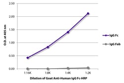 IgG Fc Goat anti-Human, HRP, Polyclonal, Southern Biotech 1.0 mL | Buy Online | Southern Biotechnology Associates | Fisher Scientific