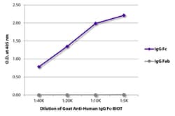 IgG Fc Goat anti-Human, Biotin, Polyclonal, Southern Biotech Biotin, 0.5mg:Antibodies,