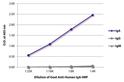 IgA Goat anti-Human, HRP, Polyclonal, Southern Biotech Horseradish Peroxidase,