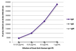 IgA Goat anti-Human, R-PE, Polyclonal, Southern Biotech&trade;