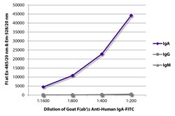 Southern Biotechnology Associates&nbsp;IgA Goat F(ab')2 anti-Human, FITC, Polyclonal, Southern Biotech&trade;