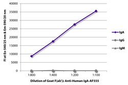 Southern Biotechnology Associates&nbsp;IgA Goat F(ab')2 anti-Human, AF 555, Polyclonal, Southern Biotech&trade;