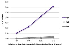Southern Biotechnology Associates&nbsp;IgA Goat anti-Human, Mouse/Bovine/Horse SP ads, AP, Polyclonal, Southern Biotech&trade;
