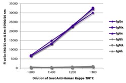 Southern Biotechnology Associates&nbsp;Kappa Goat anti-Human, TRITC (Rhodamine), Polyclonal, Southern Biotech&trade;