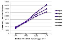 Southern Biotechnology Associates&nbsp;Kappa Goat anti-Human, AF 555, Polyclonal, Southern Biotech&trade;