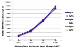 Southern Biotechnology Associates&nbsp;Kappa Goat anti-Human, FITC, Polyclonal, Southern Biotech&trade;