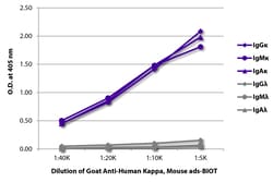 Southern Biotechnology Associates&nbsp;Kappa Goat anti-Human, Biotin, Polyclonal, Southern Biotech&trade;