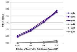Kappa Goat F(ab')2 anti-Human, HRP, Polyclonal, Southern Biotech&trade;