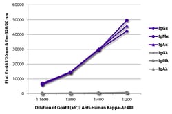 Southern Biotechnology Associates&nbsp;Kappa Goat F(ab')2 anti-Human, AF 488, Polyclonal, Southern Biotech&trade;