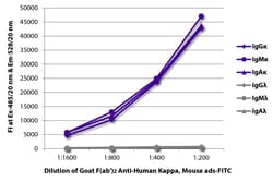 Southern Biotechnology Associates&nbsp;Kappa Goat F(ab')2 anti-Human, Mouse ads, FITC, Polyclonal, Southern Biotech&trade;