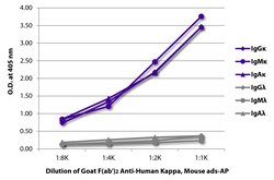 Southern Biotechnology Associates&nbsp;Kappa Goat F(ab')2 anti-Human, Mouse ads, AP, Polyclonal, Southern Biotech&trade;