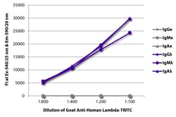 Southern Biotechnology Associates&nbsp;Lambda Goat anti-Human, TRITC (Rhodamine), Polyclonal, Southern Biotech&trade;