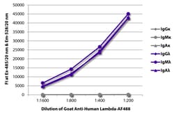 Southern Biotechnology Associates&nbsp;Lambda Goat anti-Human, AF 488, Polyclonal, Southern Biotech&trade;