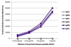 Southern Biotechnology Associates&nbsp;Lambda Goat anti-Human, AF 647, Polyclonal, Southern Biotech&trade;