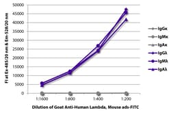 Southern Biotechnology Associates&nbsp;Lambda Goat anti-Human, FITC, Polyclonal, Southern Biotech&trade;