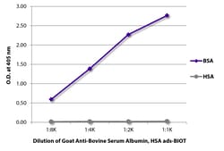 Bovine Serum Albumin Goat anti-Bovine, Biotin, Polyclonal, Southern Biotech