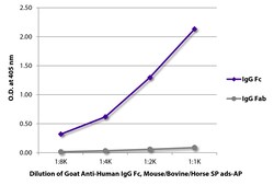 Southern Biotechnology Associates&nbsp;IgG Fc Goat anti-Human, Mouse/Bovine/Horse SP ads, AP, Polyclonal, Southern Biotech&trade;