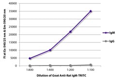 Southern Biotechnology Associates&nbsp;IgM Goat anti-Rat, TRITC (Rhodamine), Polyclonal, Southern Biotech&trade;