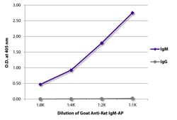 Southern Biotechnology Associates&nbsp;IgM Goat anti-Rat, AP, Polyclonal, Southern Biotech&trade;
