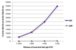 Southern Biotechnology Associates&nbsp;IgG Goat anti-Rat, FITC, Polyclonal, Southern Biotech&trade;
