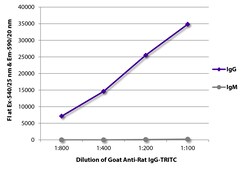 Southern Biotechnology Associates&nbsp;IgG Goat anti-Rat, TRITC (Rhodamine), Polyclonal, Southern Biotech&trade;
