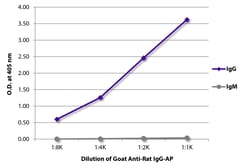 Southern Biotechnology Associates&nbsp;IgG Goat anti-Rat, AP, Polyclonal, Southern Biotech&trade;
