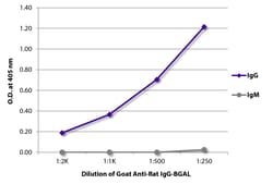 Southern Biotechnology Associates&nbsp;IgG Goat anti-Rat, BGAL (&beta;-galactosidase), Polyclonal, Southern Biotech&trade;