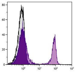 IgG(H+L) Goat anti-Rat, R-PE, Polyclonal, Southern Biotech 0.5 mg | Buy Online | Southern Biotechnology Associates | Fisher Scientific
