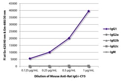 Southern Biotechnology Associates&nbsp;IgG1 Mouse anti-Rat, CY5, Clone: G17E7, Southern Biotech&trade;