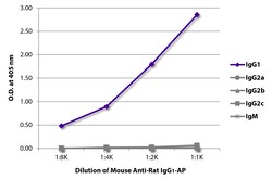 Southern Biotechnology Associates&nbsp;IgG1 Mouse anti-Rat, AP, Clone: G11C5, Southern Biotech&trade;