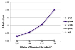 Southern Biotechnology Associates&nbsp;IgG2a Mouse anti-Rat, AP, Clone: 2A8F4, Southern Biotech&trade;