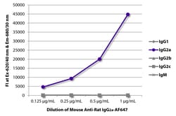 Southern Biotechnology Associates&nbsp;IgG2a Mouse anti-Rat, AF 647, Clone: 2A8F4, Southern Biotech&trade;
