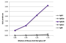 Southern Biotechnology Associates&nbsp;IgG2b Mouse anti-Rat, AP, Clone: 2B10A8, Southern Biotech&trade;
