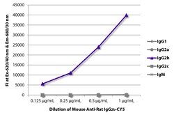 IgG2b Mouse anti-Rat, CY5, Clone: 2B10A8, Southern Biotech 0.1 mg | Buy Online | Southern Biotechnology Associates | Fisher Scientific