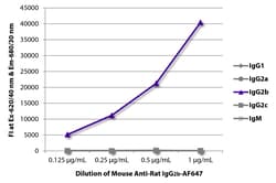 Southern Biotechnology Associates&nbsp;IgG2b Mouse anti-Rat, AF 647, Clone: 2B10A8, Southern Biotech&trade;