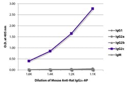 Southern Biotechnology Associates&nbsp;IgG2c Mouse anti-Rat, AP, Clone: 2C8F1, Southern Biotech&trade;