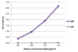 Southern Biotechnology Associates&nbsp;IgM Goat anti-Rabbit, AP, Polyclonal, Southern Biotech&trade;
