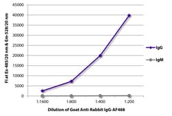 IgG Goat anti-Rabbit, AF 488, Polyclonal, Southern Biotech Alexa Fluor