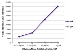 Southern Biotechnology Associates&nbsp;IgG Goat anti-Rabbit, AF 647, Polyclonal, Southern Biotech&trade;