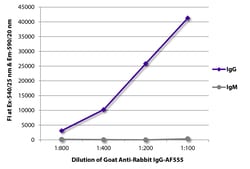 Southern Biotechnology Associates&nbsp;IgG Goat anti-Rabbit, AF 555, Polyclonal, Southern Biotech&trade;
